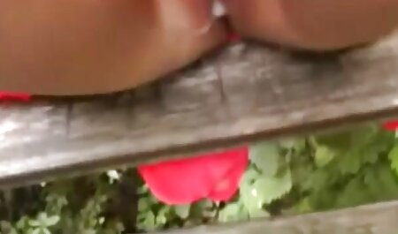 Chica adolescente videos de orgias gay gratis follada por primera vez en cámara